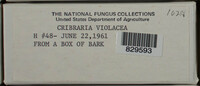Image Associated With the Occurence
